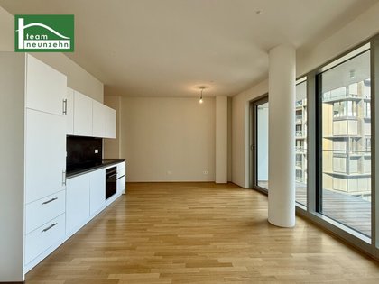 Terrassenwohnung in 1100 Wien
