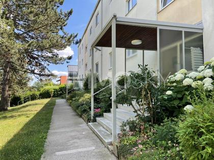 Terrassenwohnung in 2340 Mödling, Niederösterreich