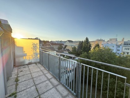 Terrassenwohnung in 1190 Wien, Karl Fellinger Park, Krottenbachstrasse, Hugo Wolf Park