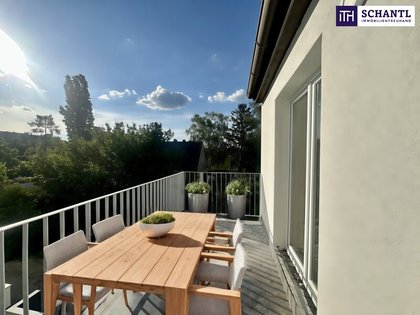 Terrassenwohnung in 2100 Korneuburg, Zentrum