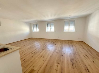 Wohnung in 1020 Wien, Rueppgasse