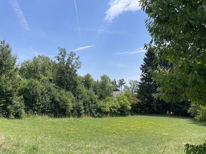Wohnbauflächen in 8045 Weinitzen