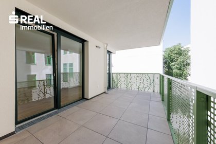 Terrassenwohnung in 1090 Wien, Liechtensteinpark