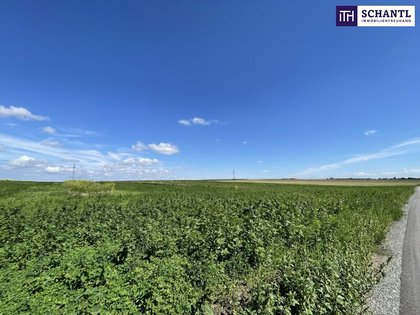 Sonderbauland in 2440 Moosbrunn, Gramatneusiedl