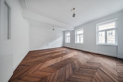 Terrassenwohnung in 1090 Wien, Donaukanal, Liechtensteinpark, U4 Roßauer Lände, U4 Friedensbrücke
