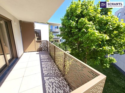 Terrassenwohnung in 1230 Wien