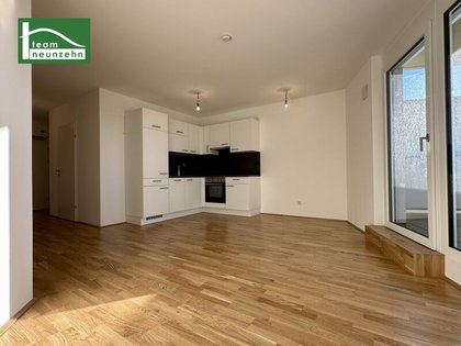 Terrassenwohnung in 1220 Wien, Alte Donau, Stadlau, Donauinsel, Donaustadtbrücke, Autobahn A23