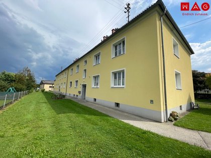 Wohnung in 4710 Grieskirchen