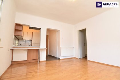Wohnung in 8043 Graz, LKH. Hilmteich, Innenstadt, Supermarkt, Schule