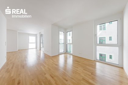 Terrassenwohnung in 1090 Wien, Liechtensteinpark