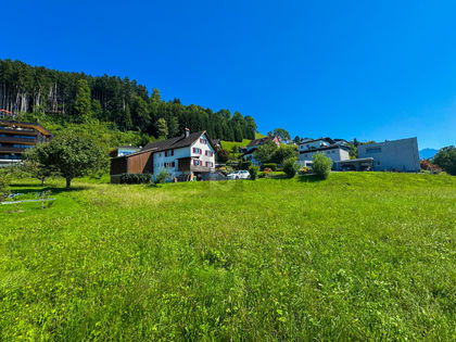 Wohnbauflächen in 6835 Zwischenwasser