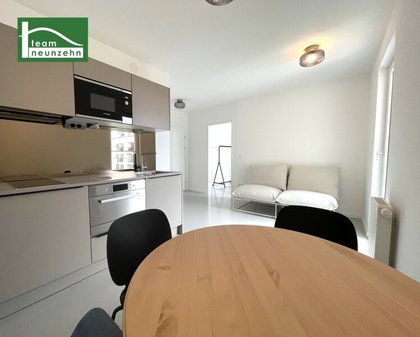 Wohnung in 1220 Wien, Alte Donau, Donauzentrum, Kirschblütenpark