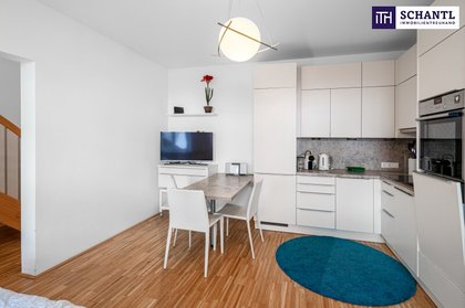 Wohnung in 1060 Wien, Mariahilfer Straße, U3 Neubaugasse, Haus des Meeres