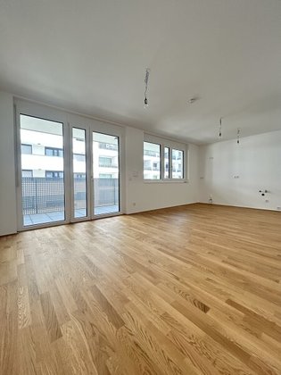 Terrassenwohnung in 1230 Wien, Perfektastraße