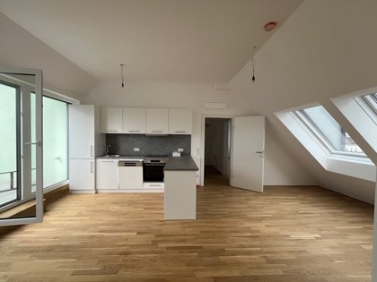 Terrassenwohnung in 1100 Wien