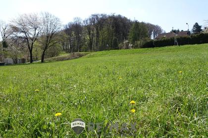 Wohnbauflächen in 3004 Ried am Riederberg, Wien-Umgebung