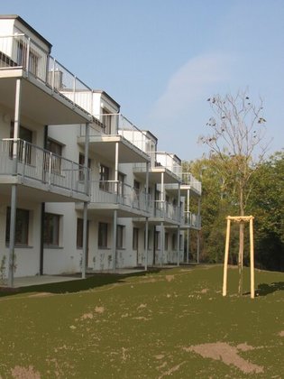 Terrassenwohnung in 3434 Katzelsdorf