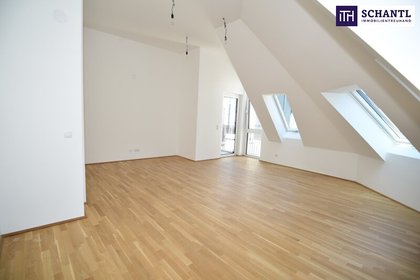 Terrassenwohnung in 1180 Wien, AKH, U6