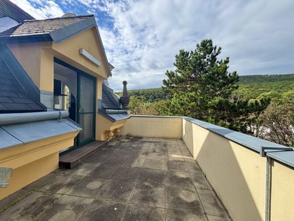Terrassenwohnung in 2500 Baden