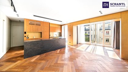 Terrassenwohnung in 1010 Wien, Stephansplatz