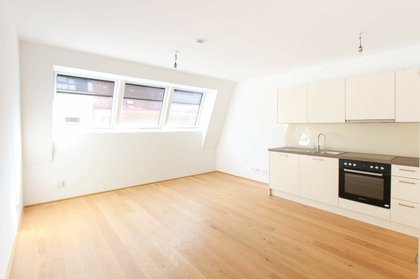 Terrassenwohnung in 1090 Wien