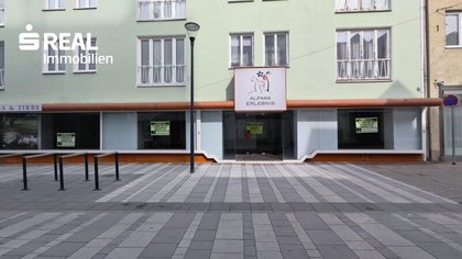 Einzelhandel in 2700 Wiener Neustadt
