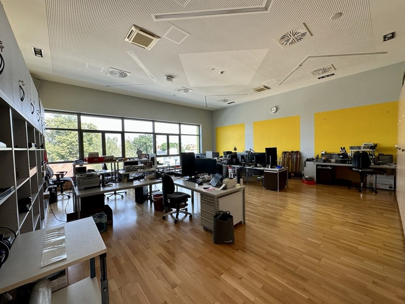 Neubauprojekt in A - 2320 Schwechat Bild 7