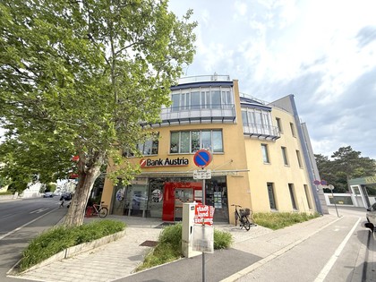 Bürofläche in 2340 Mödling