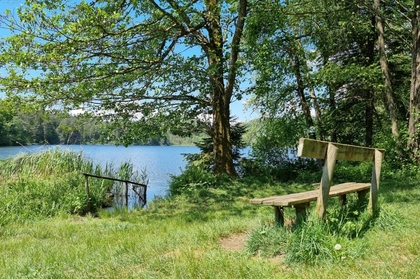 Grundstück in 9220 Velden