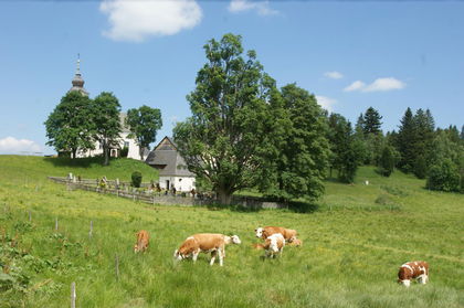 Wohnbauflächen in 8541 Gressenberg