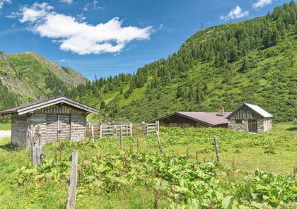 Wohnbauflächen in 5151 Bad Gastein