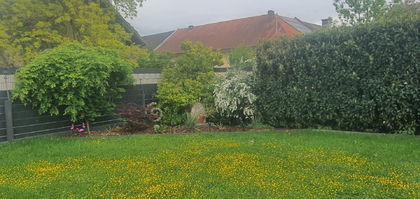 Einfamilienhaus in 4064 Oftering