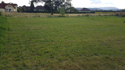 Wohnbauflächen in 2751 Steinabrückl
