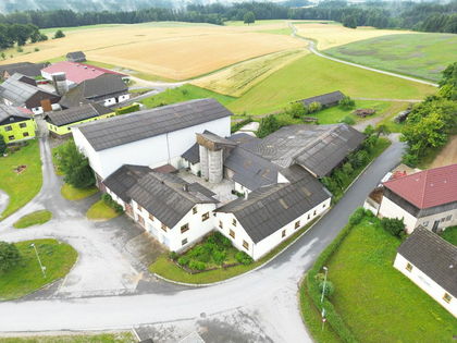Bauernhaus in 3862 Eisgarn