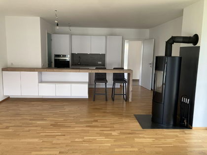 Terrassenwohnung in 4863 Litzlberg